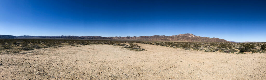 Standing in the Mojave Desert