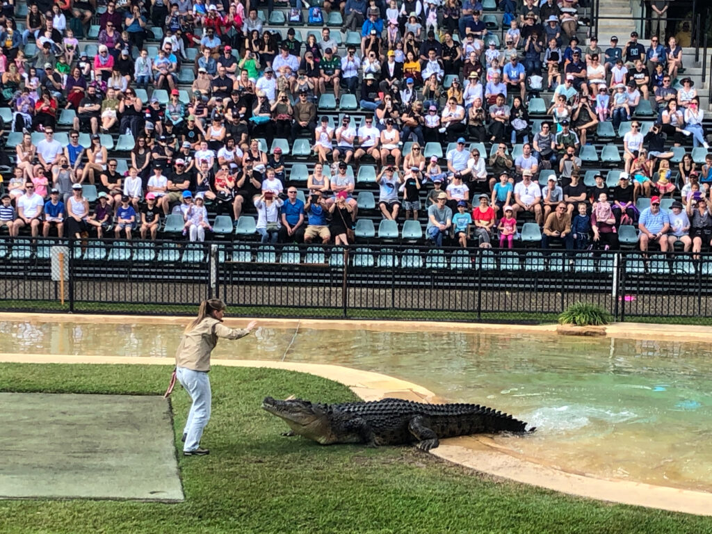 Steve Irwin's wife feeding a croc at the Australia Zoo