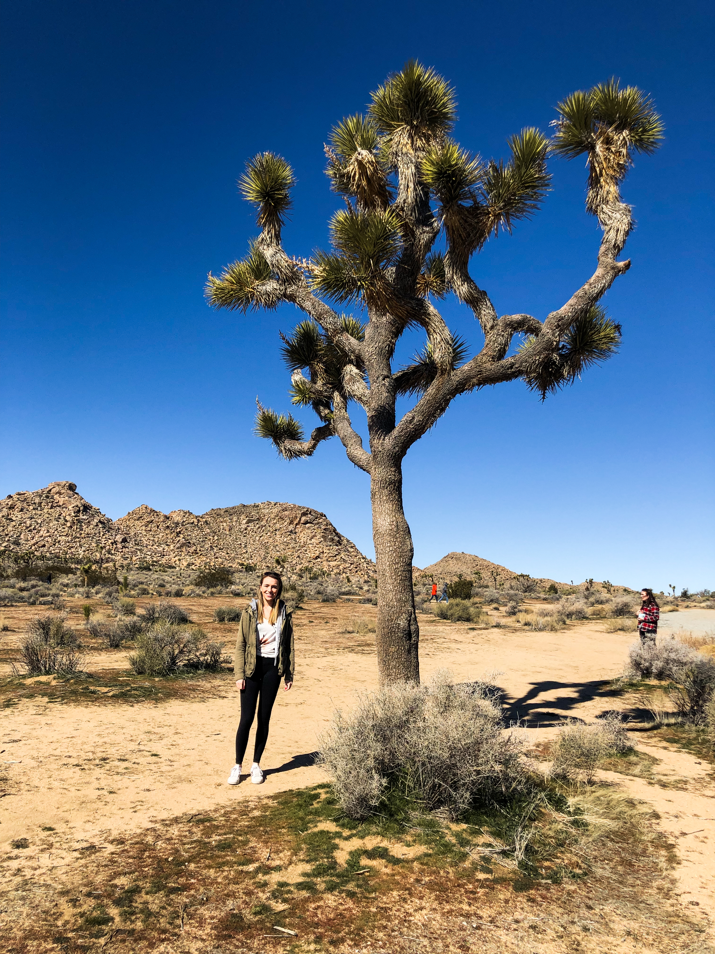 Joshua Tree National Park