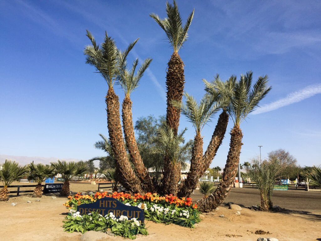 Spectating at the HITS Desert Circuit