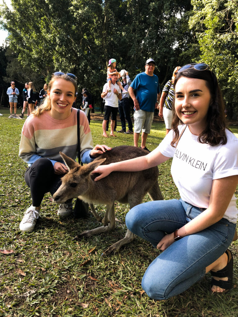 Visiting the Australia Zoo is a must when in Queensland - For sure one of the Top 4 Day Trips From Brisbane