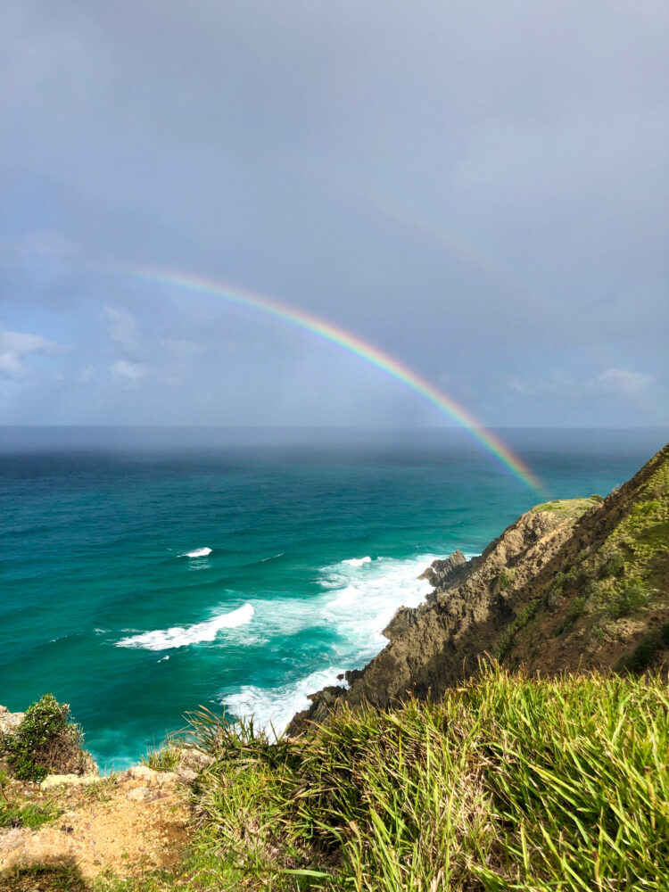 Step outside of Brisbane and experience the amazing destinations on the coast. Discover the top 4 day trips from Brisbane and must-see attractions!