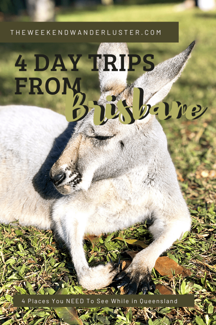 Top 4 Day Trips From Brisbane The Weekend Wanderluster