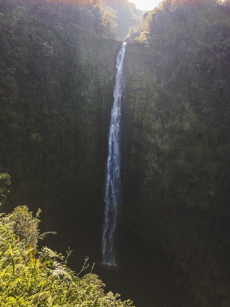 Akaka Falls is an incredible waterfall in a beautiful rainforest setting on the Hilo side of the Big Island