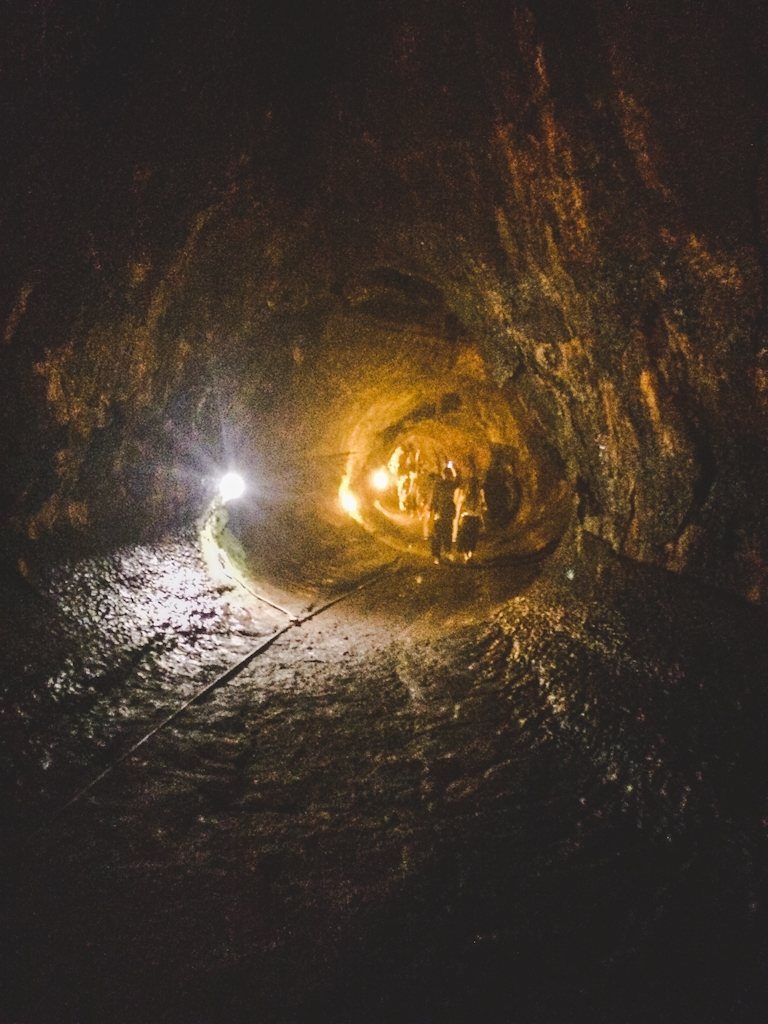 Thurston Lava Tubes is a popular spot to visit in Hawaii Volcanoes National Park