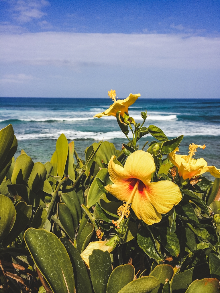 The Big Island of Hawaii is known for its natural beauty and incredible landscapes