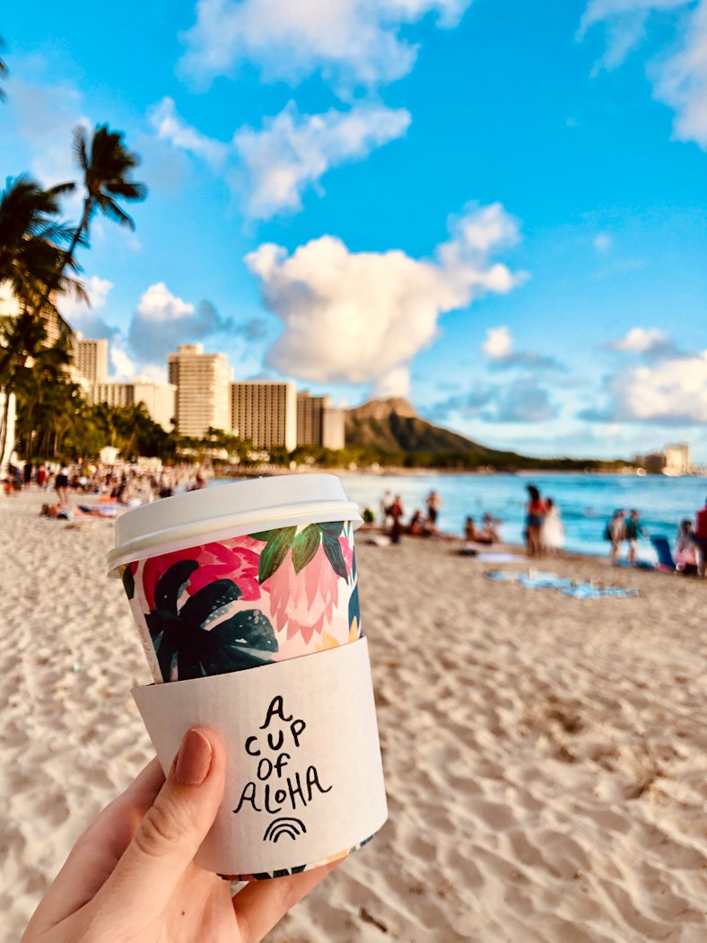 Hilton Hawaiian Village, Honolulu, Oahu, Hawaii (June 1979)